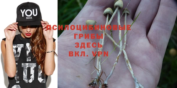 a pvp Алексеевка